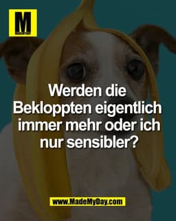Werden die 
Bekloppten eigentlich 
immer mehr oder ich
nur sensibler?