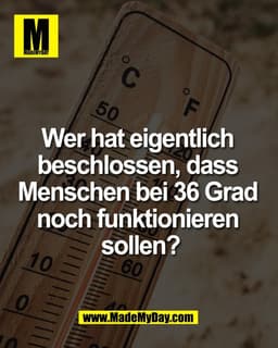 Wer hat eigentlich 
beschlossen, dass 
Menschen bei 36 Grad 
noch funktionieren 
sollen?