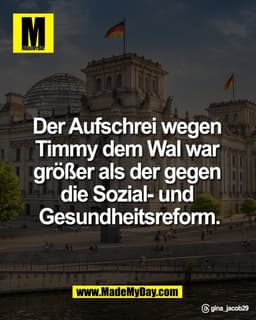 Der Aufschrei wegen 
Timmy dem Wal war 
größer als der gegen 
die Sozial- und 
Gesundheitsreform.

Threads: gina_jacob29