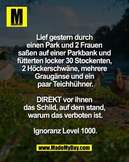 Lief gestern durch 
einen Park und 2 Frauen 
saßen auf einer Parkbank und 
fütterten locker 30 Stockenten, 
2 Höckerschw