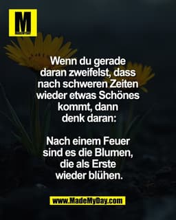 Wenn du gerade 
daran zweifelst, dass 
nach schweren Zeiten 
wieder etwas Schönes 
kommt, dann 
denk daran:

Nach einem 