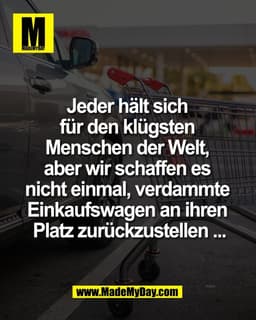 Jeder hält sich 
für den klügsten 
Menschen der Welt, 
aber wir schaffen es 
nicht einmal, verdammte 
Einkaufswagen an i