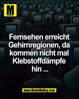 Fernsehen erreicht 
Gehirnregionen, da 
kommen nicht mal 
Klebstoffdämpfe 
hin ...