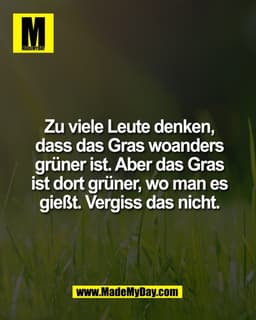 Zu viele Leute denken,
dass das Gras woanders
grüner ist. Aber das Gras
ist dort grüner, wo man es
gießt. Vergiss das ni