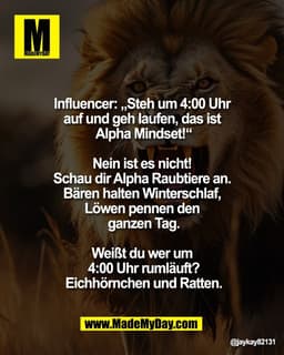 Influencer: „Steh um 4:00 Uhr 
auf und geh laufen, das ist 
Alpha Mindset!“

Nein ist es nicht! 
Schau dir Alpha Raubtie