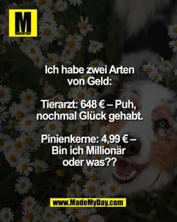 Ich habe zwei Arten
von Geld:
Tierarzt: 648 € - Puh,
nochmal Glück gehabt.
Pinienkerne: 4,99 €-
Bin ich Millionär
oder w
