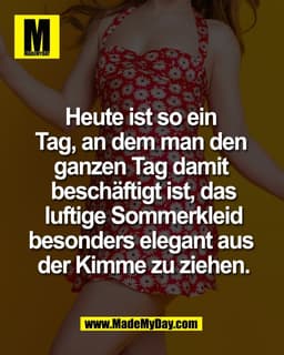 Heute ist so ein 
Tag, an dem man den 
ganzen Tag damit 
beschäftigt ist, das
luftige Sommerkleid
besonders elegant aus 