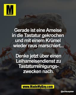 Gerade ist eine Ameise 
in die Tastatur gekrochen 
und mit einem Krümel 
wieder raus marschiert...

Denke jetzt über ein
