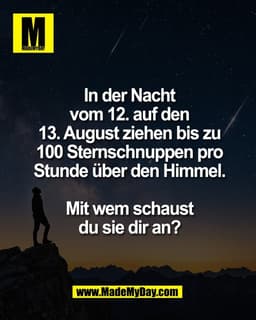 In der Nacht
vom 12. auf den
13. August ziehen bis zu
100 Sternschnuppen pro
Stunde über den Himmel.
Mit wem schaust
du