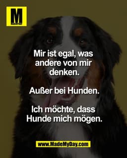 Mir ist egal, was 
andere von mir 
denken.

Außer bei Hunden.

Ich möchte, dass 
Hunde mich mögen.