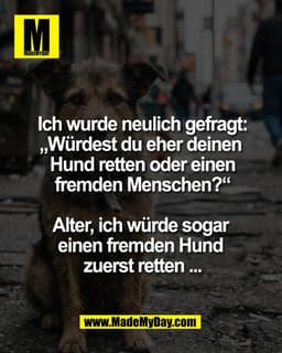 Ich wurde neulich gefragt:
„Würdest du eher deinen 
Hund retten oder einen
fremden Menschen?“

Alter, ich würde sogar 
e