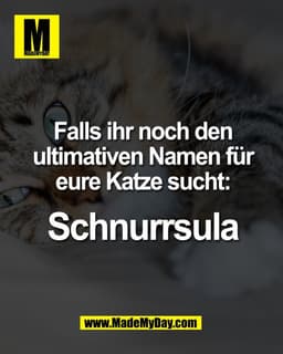 Falls ihr noch den
ultimativen Namen für
eure Katze sucht:

Schnurrsula.