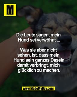 Die Leute sagen, mein 
Hund sei verwöhnt ...

Was sie aber nicht 
sehen, ist, dass mein 
Hund sein ganzes Dasein
damit v