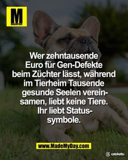 Wer zehntausende 
Euro für Gen-Defekte 
beim Züchter lässt, während 
im Tierheim Tausende 
gesunde Seelen verein-
samen,