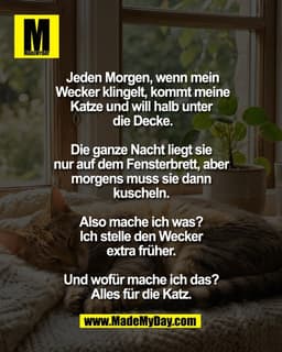 Jeden Morgen, wenn mein
Wecker klingelt, kommt meine
Katze und will halb unter 
die Decke.

Die ganze Nacht liegt sie 
n