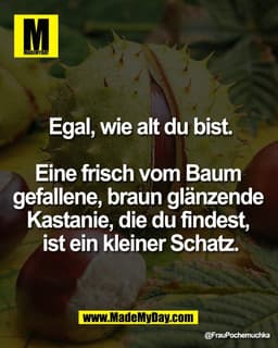 Egal, wie alt du bist.

Eine frisch vom Baum 
gefallene, braun glänzende 
Kastanie, die du findest, 
ist ein kleiner Sch