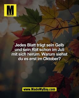 Die Antwort ist einfacher, als alle glauben. Und trotzdem kommt kaum jemand von allein drauf.