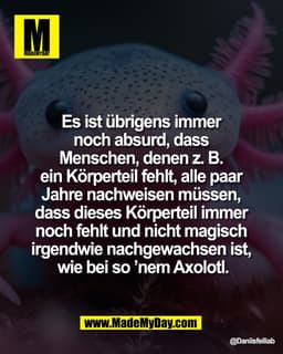Es ist übrigens immer 
noch absurd, dass 
Menschen, denen z. B. 
ein Körperteil fehlt, alle paar 
Jahre nachweisen müsse