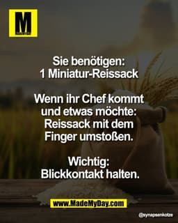 Sie benötigen: 
1 Miniatur-Reissack 

Wenn ihr Chef kommt 
und etwas möchte: 
Reissack mit dem 
Finger umstoßen. 

Wicht
