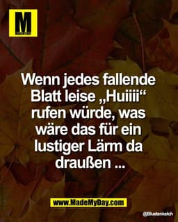Wenn jedes fallende 
Blatt leise „Huiiii“ 
rufen würde, was 
wäre das für ein 
lustiger Lärm da 
draußen ...