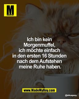 Ich bin kein 
Morgenmuffel, 
ich möchte einfach 
in den ersten 16 Stunden 
nach dem Aufstehen 
meine Ruhe haben.