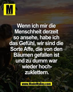 Wenn ich mir die 
Menschheit derzeit 
so ansehe, habe ich 
das Gefühl, wir sind die 
Sorte Affe, die von den 
Bäumen gef