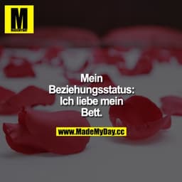 Beziehungsstatus:
Ich liebe mein Bett.
