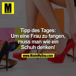 Tipp des Tages:
Um eine Frau zu fangen, muss man wie ein Schuh denken!