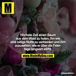 Höchste Zeit einen Baum aus dem Wald zu holen, ihn wie eine billige Nutte zu verkleiden und ihm zuzusehen, wie er über d