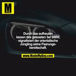 Durch das aufheulen lassen des geleasten 3er BMW, signalisiert der orientalische Jüngling seine Paarungsbereitschaft.