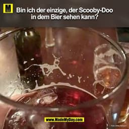 Bin ich der einzige der ScoobyDoo in dem Bier sehen kann?