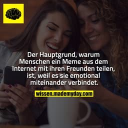 Der Hauptgrund, warum Menschen ein Meme aus dem Internet mit ihren Freunden teilen, ist, weil es sie emotional miteinand