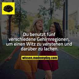 Du benutzt fünf verschiedene Gehirnregionen, um einen Witz zu verstehen und darüber zu lachen.
