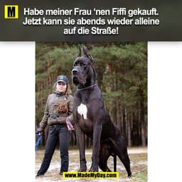 Habe meiner Frau ‘nen Fiffi gekauft.
Jetzt kann sie abends wieder alleine
auf die Straße!