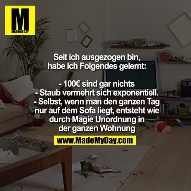 Seit ich ausgezogen bin, habe ich Folgendes gelernt:
- 100€ sind gar nichts
- Staub vermehrt sich exponentiell.
- Selbst, wenn man den ganzen Tag nur auf dem Sofa liegt, entsteht wie durch Magie Unordnung in der ganzen Wohnung - Inspiration, Zitate & Sprüche | MadeMyDay | Jetzt entdecken & teilen Seit ich ausgezogen bin, habe ich Folgendes gelernt:
- 100€ sind gar nichts
- Staub vermehrt sich exponentiell.
- Selbst, wenn man den ganzen Tag nur auf dem Sofa liegt, entsteht wie durch Magie Unordnung in der ganzen Wohnung - Inspirierendes Zitat mit Bild