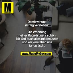 Damit wir uns richtig verstehen: Die Wohnung meiner Katze ist sehr schön. Ich darf auch alles mitbenutzen und wir verste