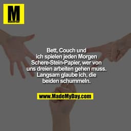Bett, Couch und ich spielen jeden Morgen Schere-Stein-Papier, wer von uns dreien arbeiten gehen muss. Langsam glaube ich