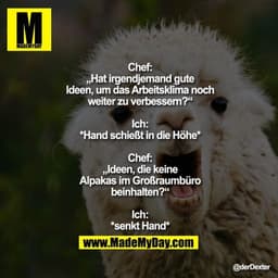 Chef: „Hat irgendjemand gute Ideen, um
das Arbeitsklima noch weiter zu
verbessern?“
Ich: *Hand schießt in die Höhe*
Chef