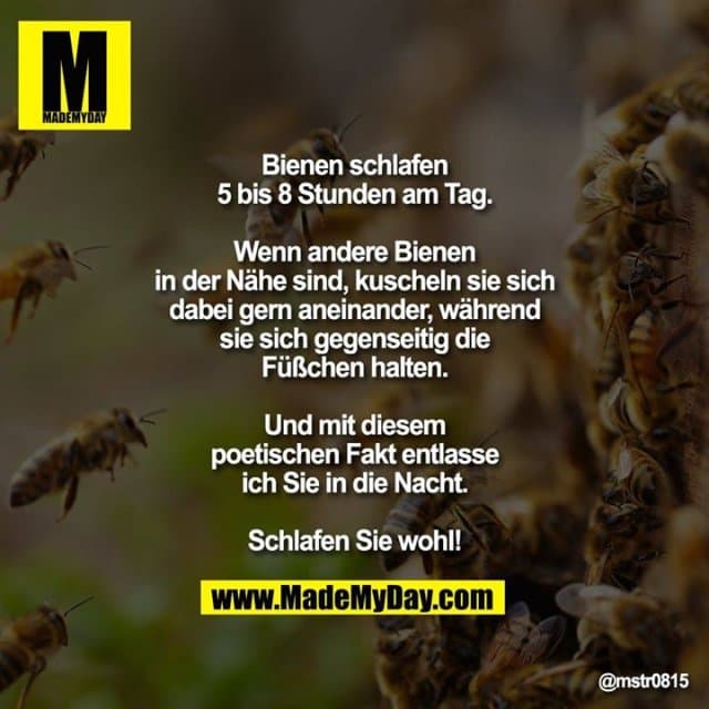 Bienen schlafen 5 bis 8 Stunden am Tag.
Wenn andere Bienen in der Nähe sind, kuscheln sie sich dabei gern aneinander, während sie sich gegenseitig die Füßchen halten.
Und mit diesem poetischen Fakt entlasse ich Sie in die Nacht.
Schlafen Sie wohl! - Inspiration, Zitate & Sprüche | MadeMyDay | Jetzt entdecken & teilen Bienen schlafen 5 bis 8 Stunden am Tag.
Wenn andere Bienen in der Nähe sind, kuscheln sie sich dabei gern aneinander, während sie sich gegenseitig die Füßchen halten.
Und mit diesem poetischen Fakt entlasse ich Sie in die Nacht.
Schlafen Sie wohl! - Inspirierendes Zitat mit Bild