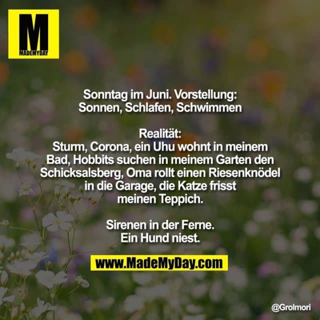 Sonntag im Juni. Vorstellung:
Sonnen, Schlafen, Schwimmen
Realität:
Sturm, Corona, ein Uhu wohnt in meinem Bad, Hobbits suchen in meinem Garten den Schicksalsberg, Oma rollt einen Riesenknödel in die Garage, die Katze frisst meinen Teppich
Sirenen in der Ferne.
Ein Hund niest. - Inspiration, Zitate & Sprüche | MadeMyDay | Jetzt entdecken & teilen Sonntag im Juni. Vorstellung:
Sonnen, Schlafen, Schwimmen
Realität:
Sturm, Corona, ein Uhu wohnt in meinem Bad, Hobbits suchen in meinem Garten den Schicksalsberg, Oma rollt einen Riesenknödel in die Garage, die Katze frisst meinen Teppich
Sirenen in der Ferne.
Ein Hund niest. - Inspirierendes Zitat mit Bild