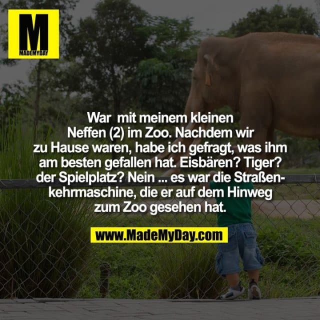 War mit meinem kleinen
Neffen (2) im Zoo. Nachdem wir
zu Hause waren, habe ich gefragt, was ihm
am besten gefallen hat. Eisbären? Tiger?
der Spielplatz? Nein ... es war die Straßen-
kehrmaschine, die er auf dem Hinweg
zum Zoo gesehen hat. - Inspiration, Zitate & Sprüche | MadeMyDay | Jetzt entdecken & teilen War mit meinem kleinen
Neffen (2) im Zoo. Nachdem wir
zu Hause waren, habe ich gefragt, was ihm
am besten gefallen hat. Eisbären? Tiger?
der Spielplatz? Nein ... es war die Straßen-
kehrmaschine, die er auf dem Hinweg
zum Zoo gesehen hat. - Inspirierendes Zitat mit Bild