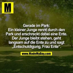 Gerade im Park:
Ein kleiner Junge rennt durch den
Park und erschreckt dabei eine Ente.
Der Junge bleibt stehen, geht
lan