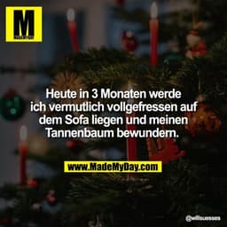 Heute in 3 Monaten werde ich vermutlich vollgefressen auf dem Sofa liegen und meinen Tannenbaum bewundern.