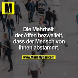 Die Mehrheit der Affen bezweifelt, dass der Mensch von ihnen abstammt.