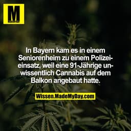 In Bayern kam es in einem Seniorenheim zu einem Polizeieinsatz, weil eine 91-Jährige unwissentlich Cannabis auf dem Balk