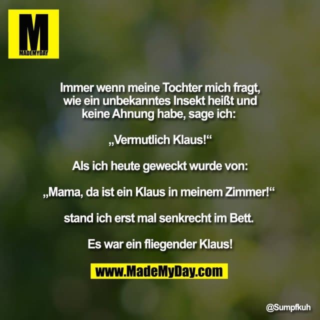 Immer wenn meine Tochter mich fragt,
wie ein unbekanntes Insekt heißt und
keine Ahnung habe, sage ich:
„Vermutlich Klaus!“
Als ich heute geweckt wurde von:
„Mama, da ist ein Klaus in meinem Zimmer!“
stand ich erst mal senkrecht im Bett.
Es war ein fliegender Klaus! - Inspiration, Zitate & Sprüche | MadeMyDay | Jetzt entdecken & teilen Immer wenn meine Tochter mich fragt,
wie ein unbekanntes Insekt heißt und
keine Ahnung habe, sage ich:
„Vermutlich Klaus!“
Als ich heute geweckt wurde von:
„Mama, da ist ein Klaus in meinem Zimmer!“
stand ich erst mal senkrecht im Bett.
Es war ein fliegender Klaus! - Inspirierendes Zitat mit Bild