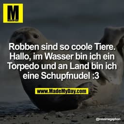 Robben sind so coole Tiere.
Hallo, im Wasser bin ich ein
Torpedo und an Land bin ich
eine Schupfnudel :3