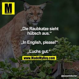 „Die Raubkatze sieht
hübsch aus.“
„In English, please!“
„Luchs gut.“