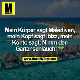 Mein Körper sagt Malediven,
mein Kopf sagt Ibiza, mein
Konto sagt: Nimm den
Gartenschlauch! 🌴