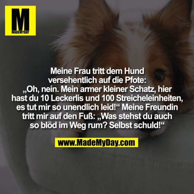 Meine Frau tritt dem Hund
versehentlich auf die Pfote:
„Oh, nein. Mein armer kleiner Schatz, hier
hast du 10 Leckerlis und 100 Streicheleinheiten,
es tut mir so unendlich leid!“ Meine Freundin
tritt mir auf den Fuß: „Was stehst du auch
so blöd im Weg rum? Selbst schuld!“ - Inspiration, Zitate & Sprüche | MadeMyDay | Jetzt entdecken & teilen Meine Frau tritt dem Hund
versehentlich auf die Pfote:
„Oh, nein. Mein armer kleiner Schatz, hier
hast du 10 Leckerlis und 100 Streicheleinheiten,
es tut mir so unendlich leid!“ Meine Freundin
tritt mir auf den Fuß: „Was stehst du auch
so blöd im Weg rum? Selbst schuld!“ - Inspirierendes Zitat mit Bild